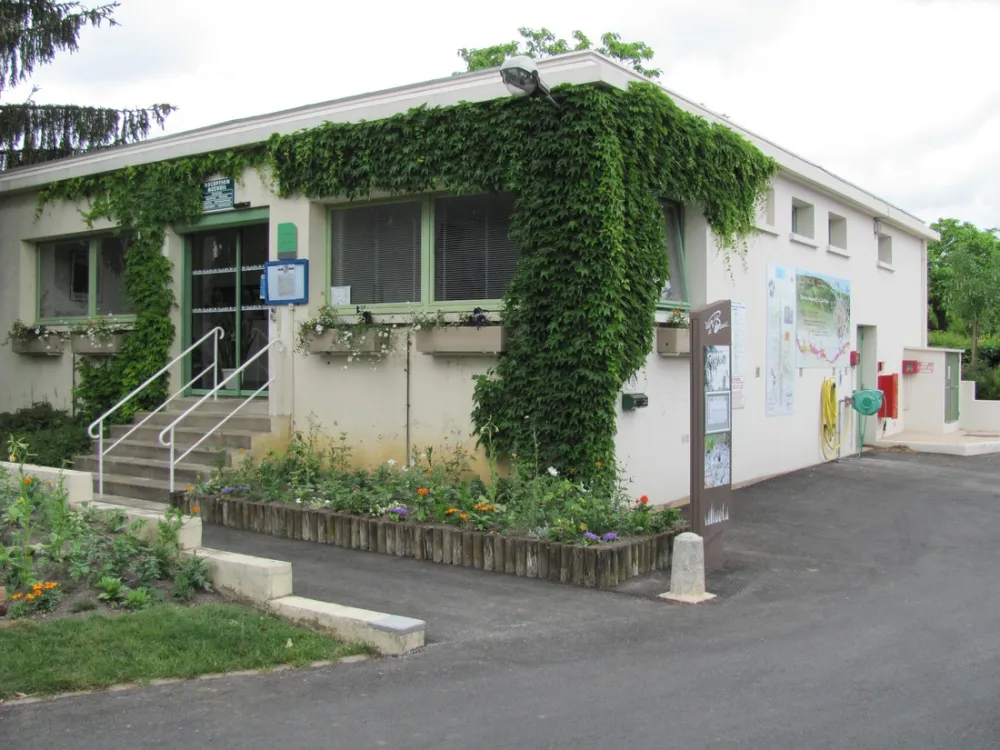 Camping Municipal Des Cent Vignes  