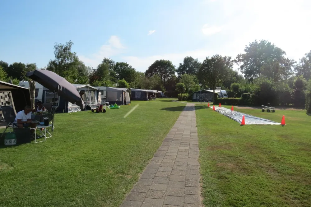 Camping De Spokke-riete
