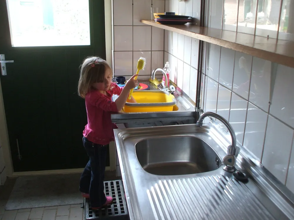 Camping De Spokke-riete