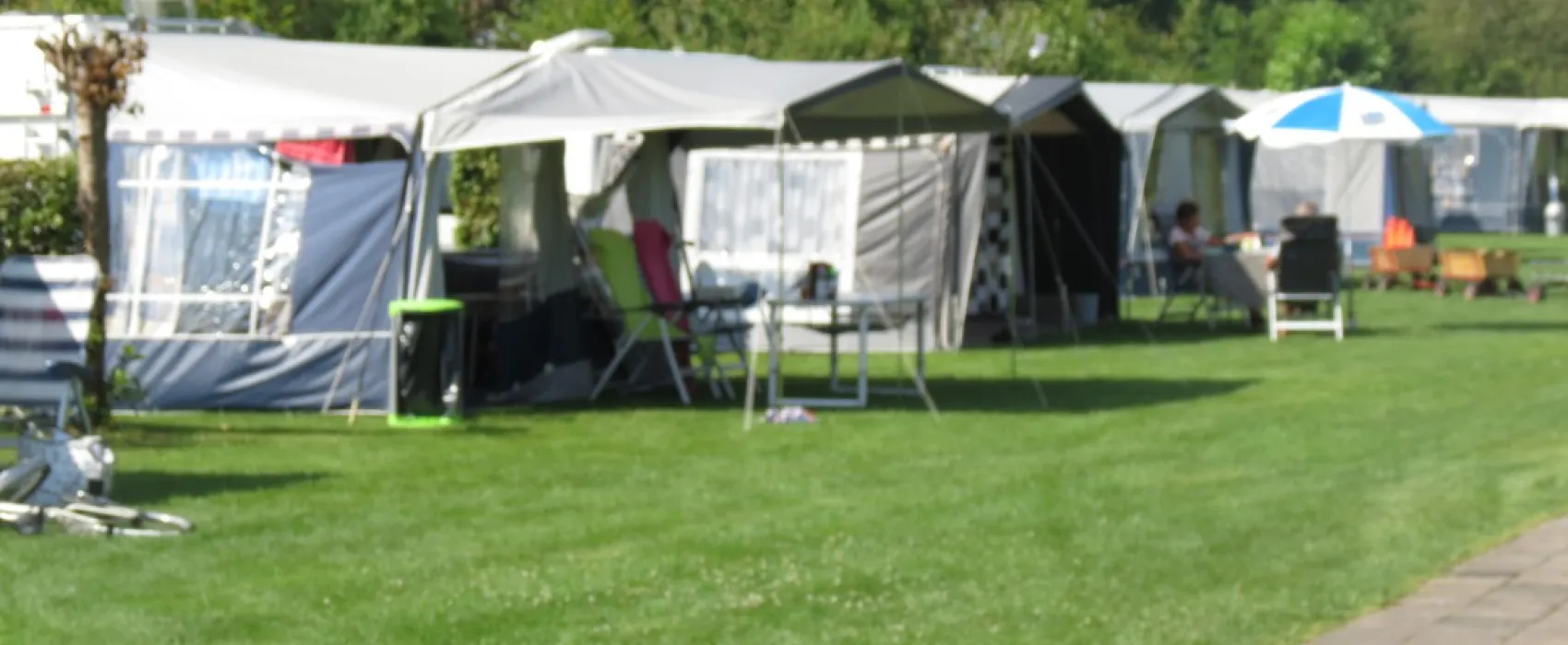 Camping De Spokke-riete