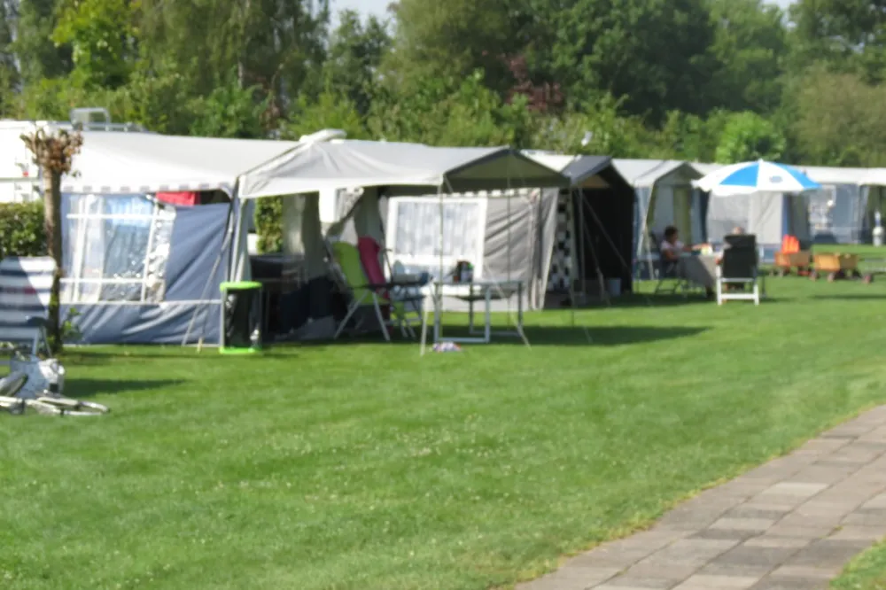 Camping De Spokke-riete