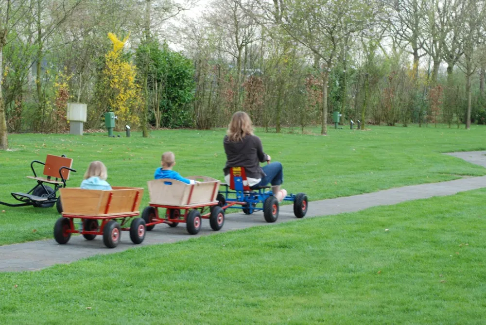 Camping De Spokke-riete