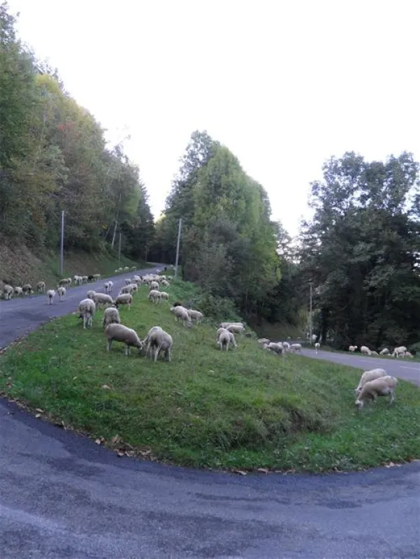 Camping Le Haut Salat  