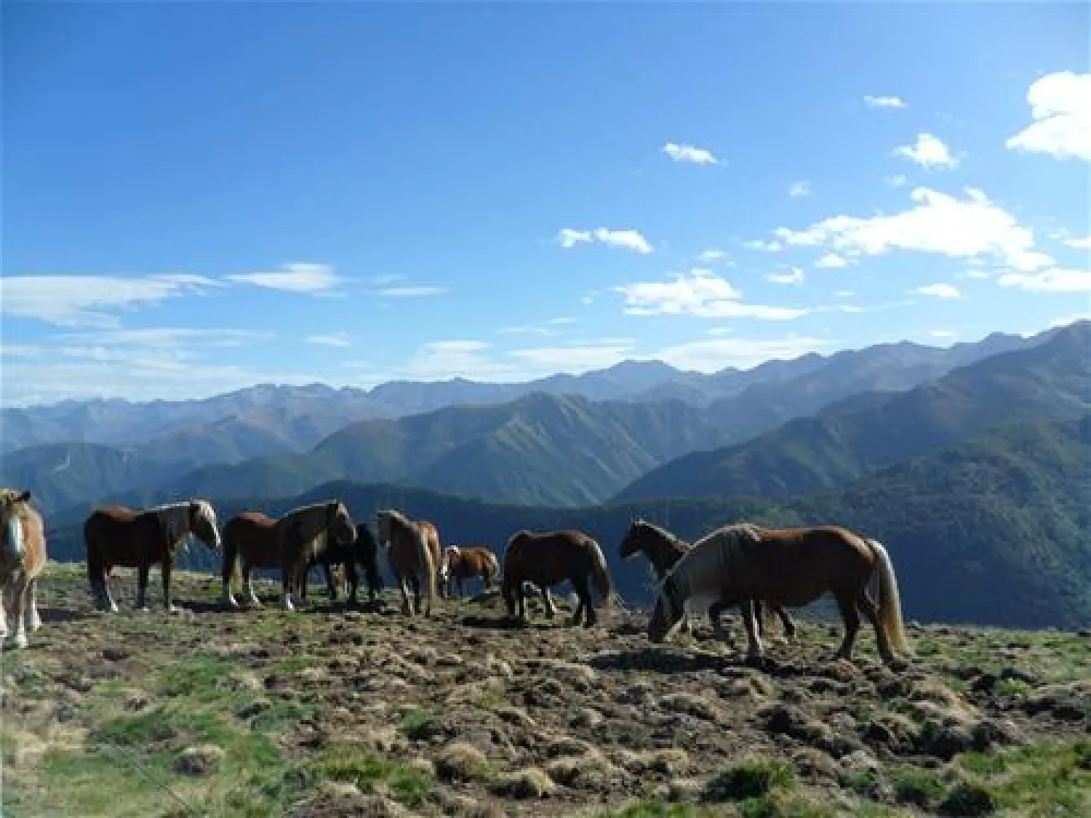 Camping Le Haut Salat  