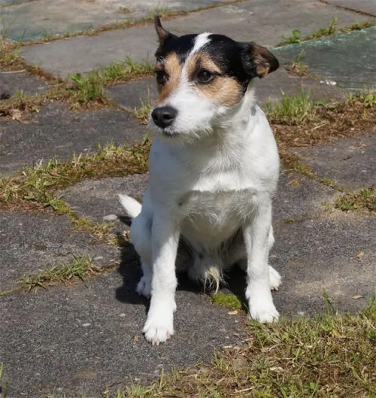 Camping im Siebengebirge