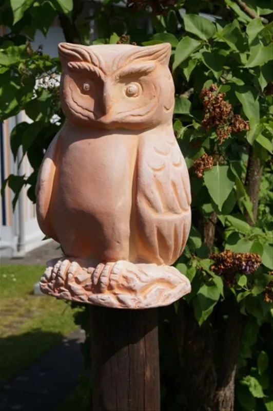 Camping im Siebengebirge