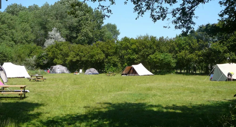 Natuurkampeerterrein De Berenweide