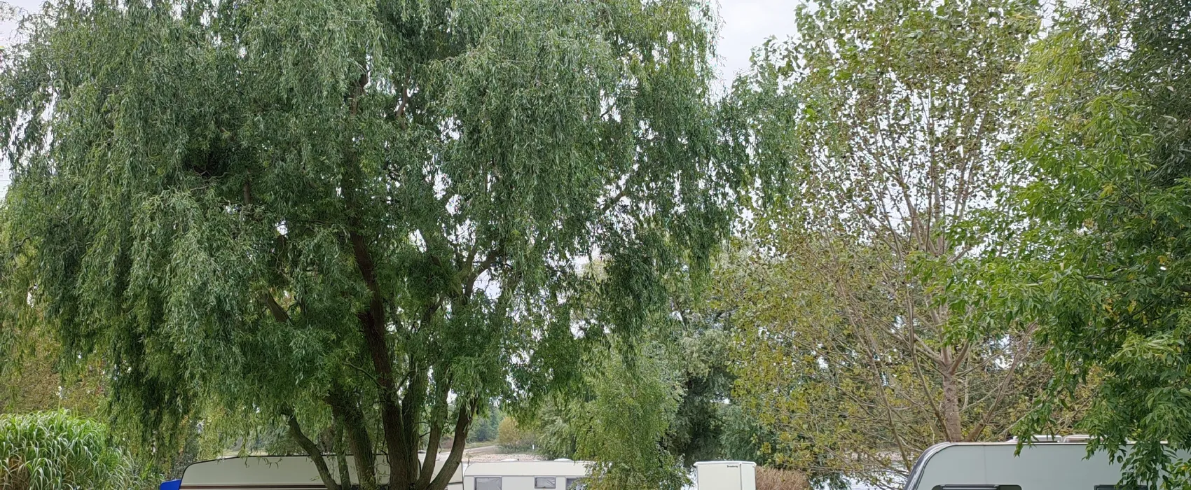 Camping Strandterrasse