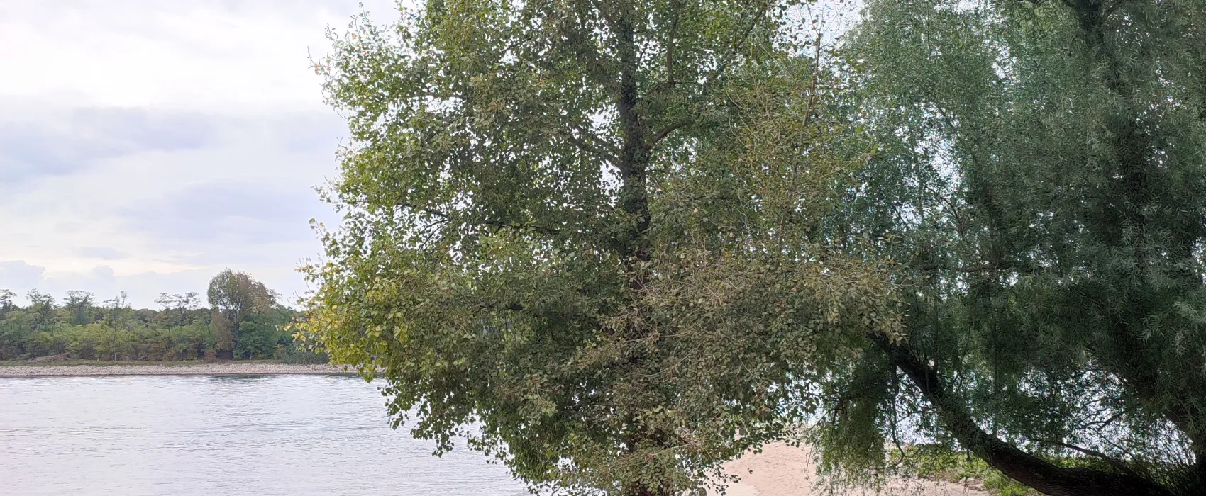 Camping Strandterrasse