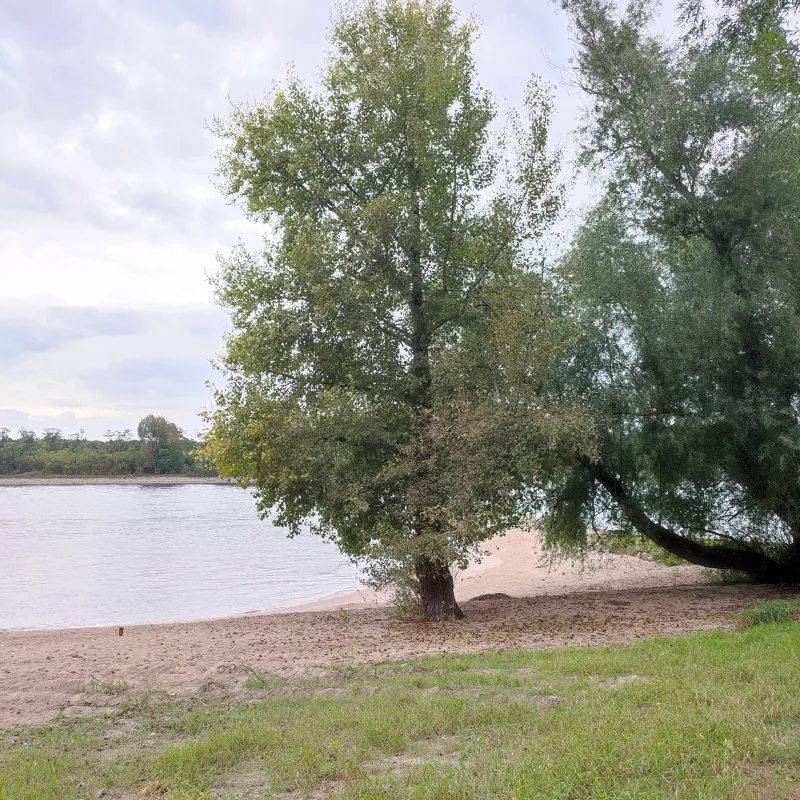 Camping Strandterrasse