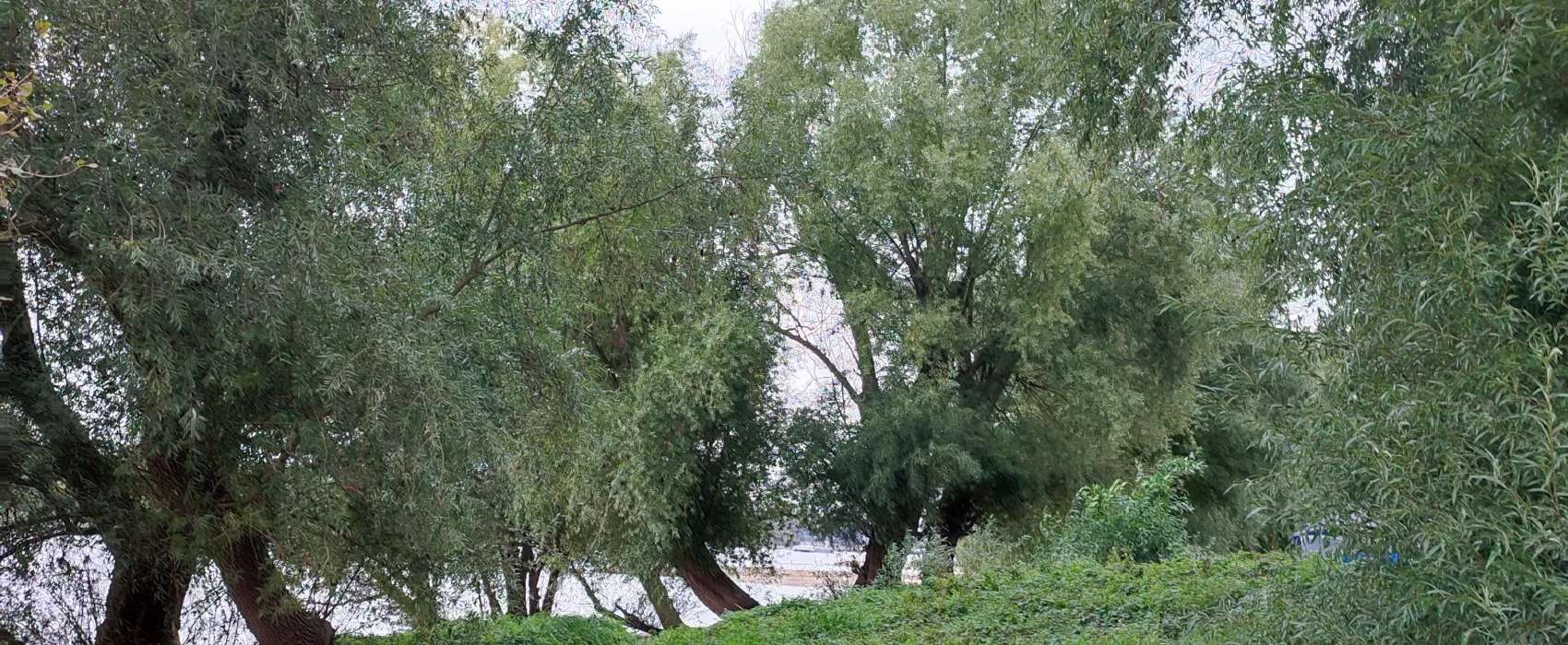 Camping Strandterrasse