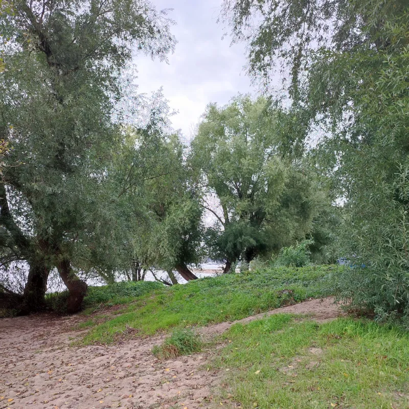 Camping Strandterrasse