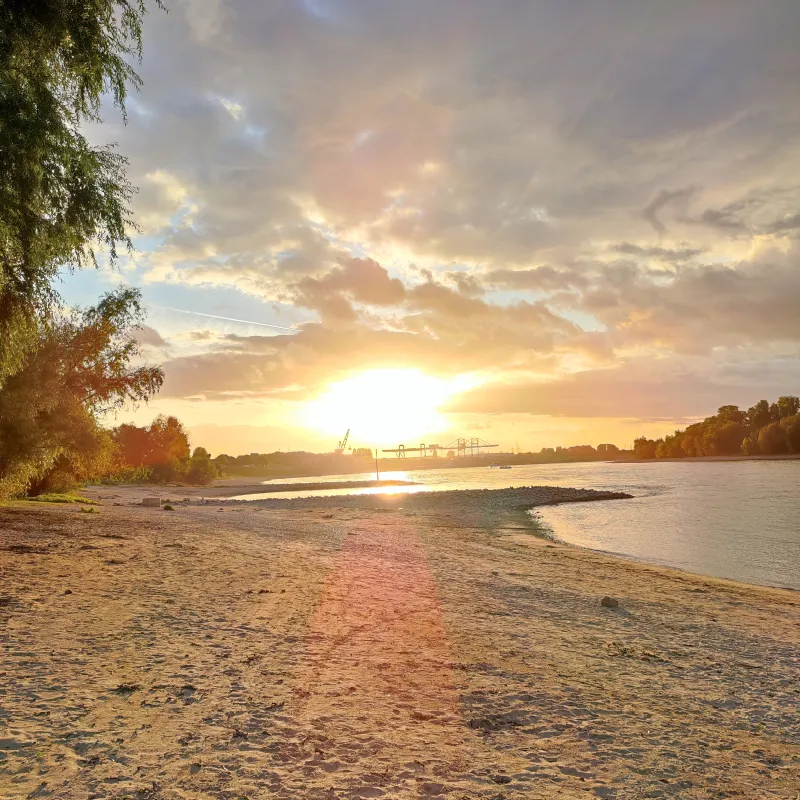 Camping Strandterrasse