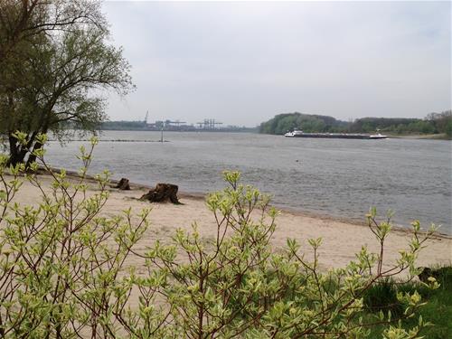 Camping Strandterrasse in Deutschland - Spottocamp - Spottocamp