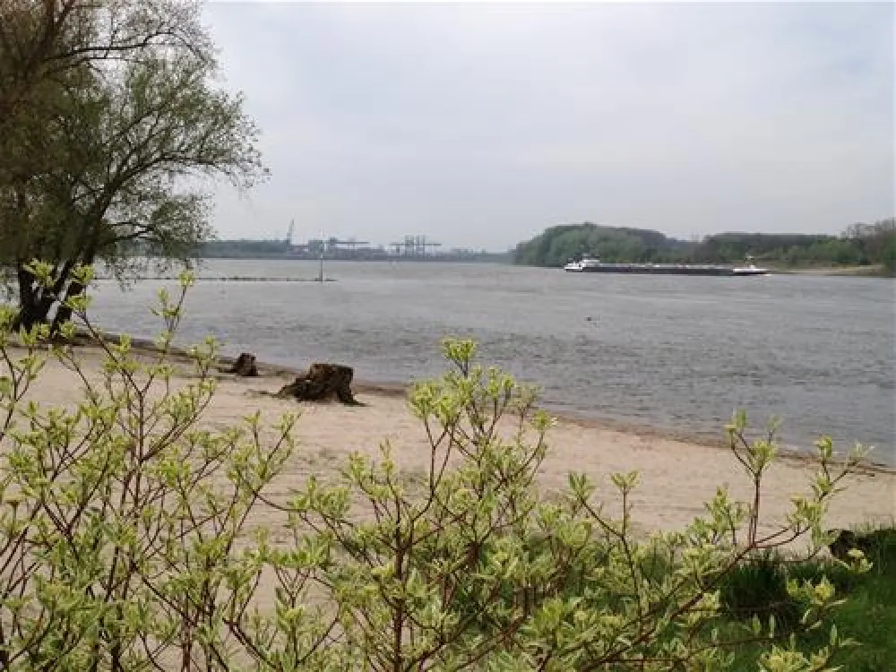 Camping Strandterrasse