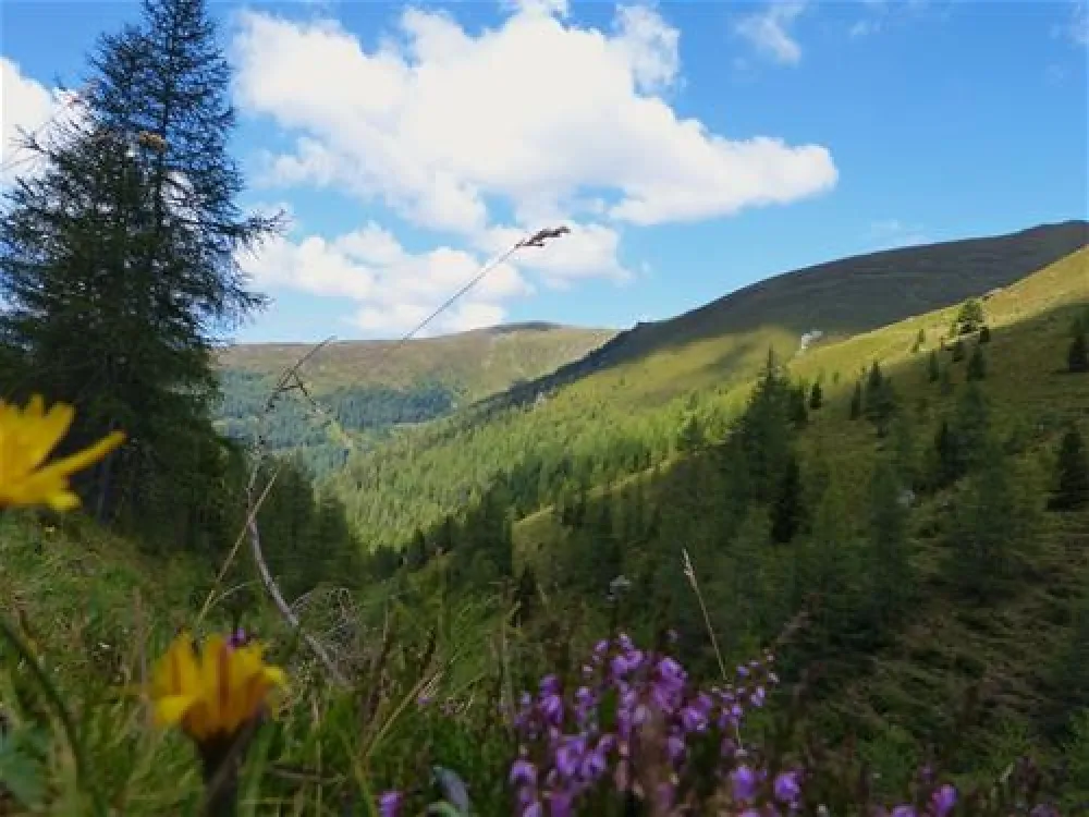 Komfort-Campingpark Burgstaller