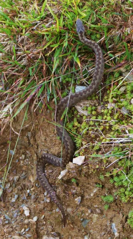Komfort-Campingpark Burgstaller