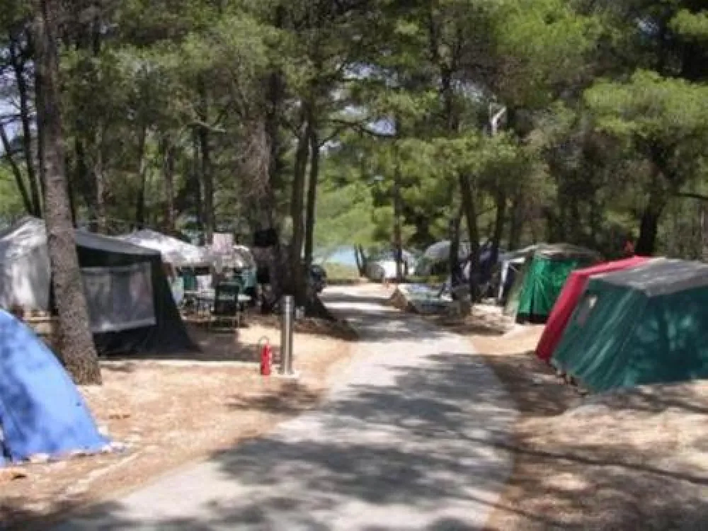 Camping Grebisce