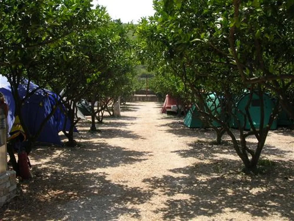 Camping Grebisce