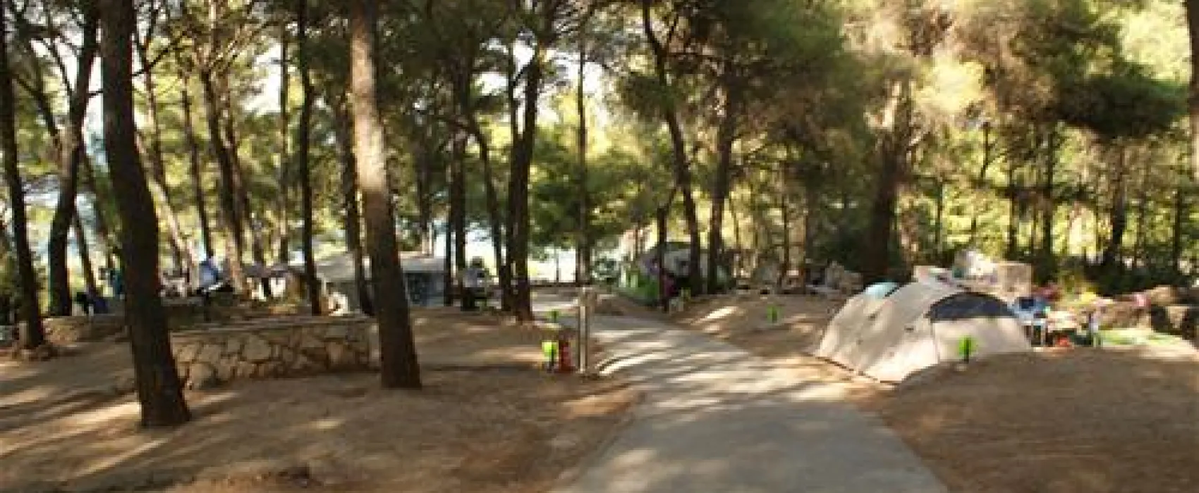 Camping Grebisce