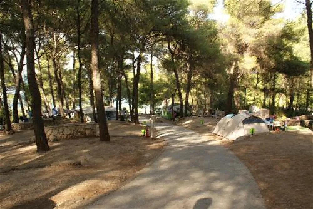 Camping Grebisce