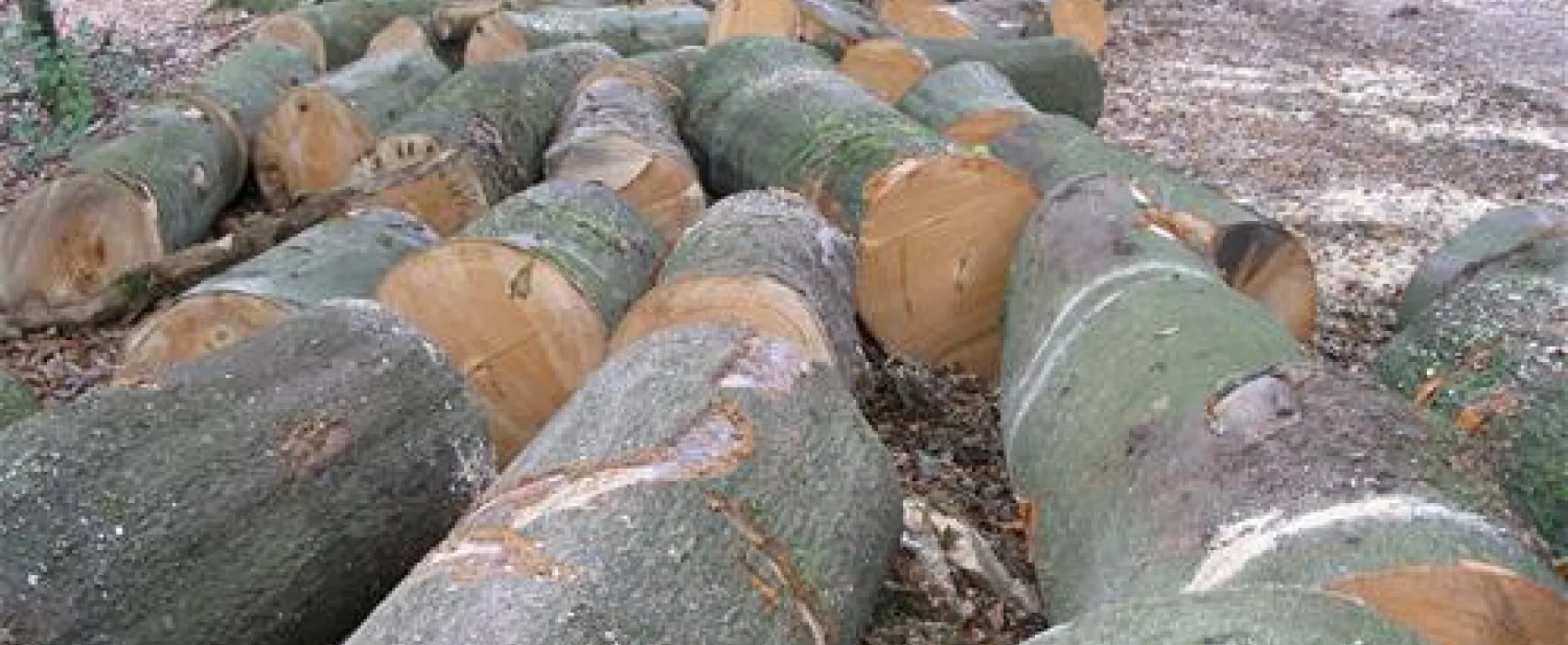 Camping La Membrette