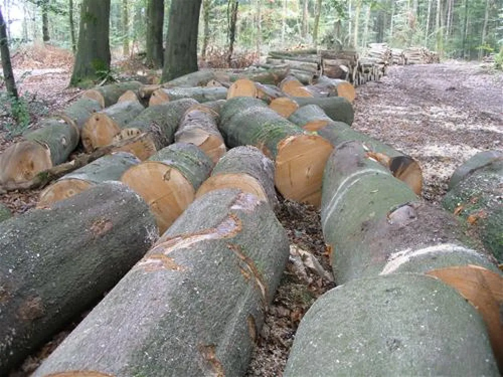 Camping La Membrette