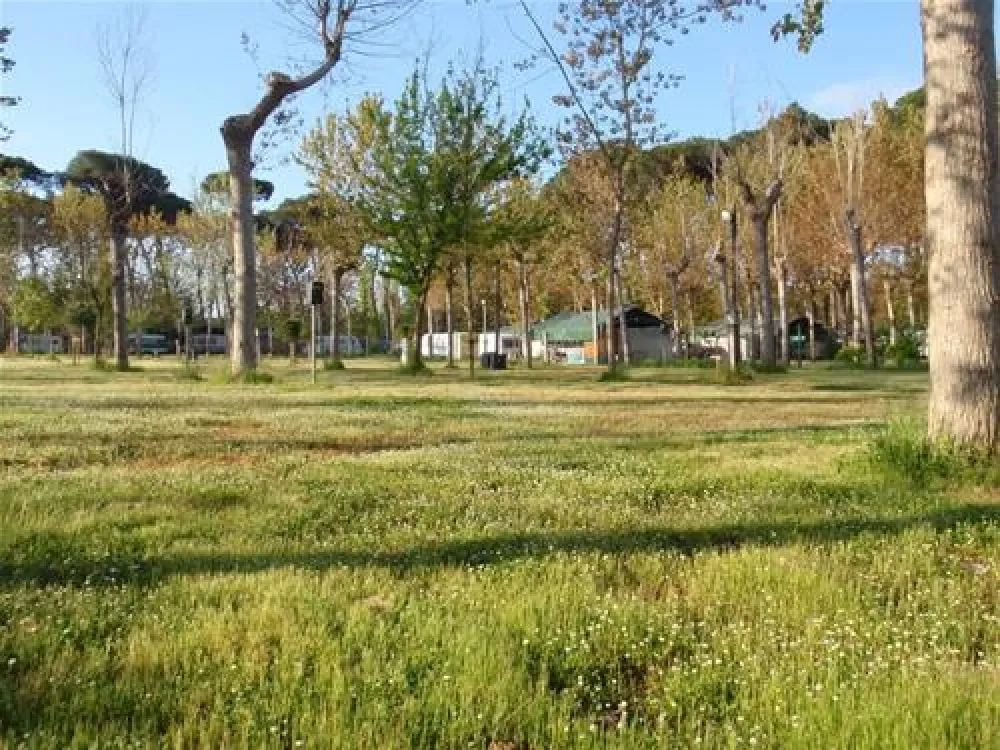 Camping Bosco Verde