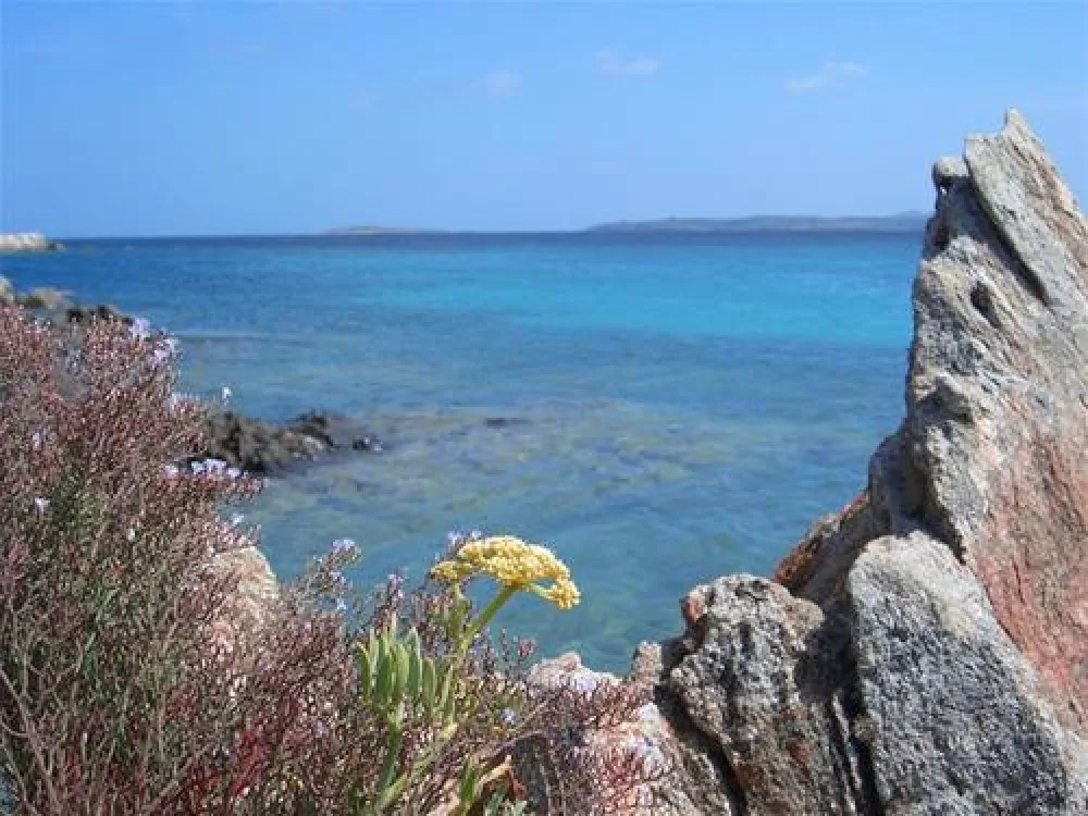 Campeggio Isola dei Gabbiani