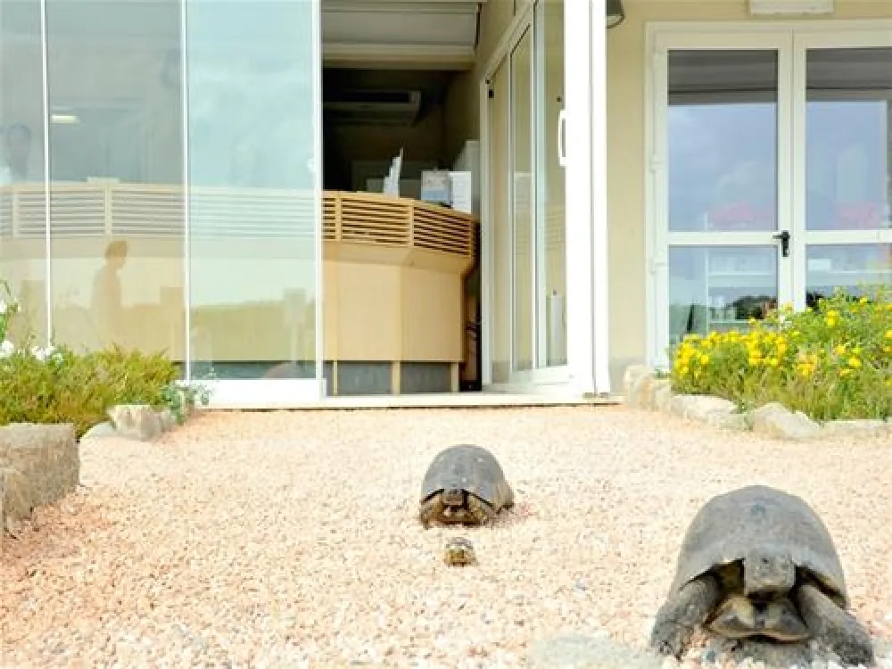 Campeggio Isola dei Gabbiani