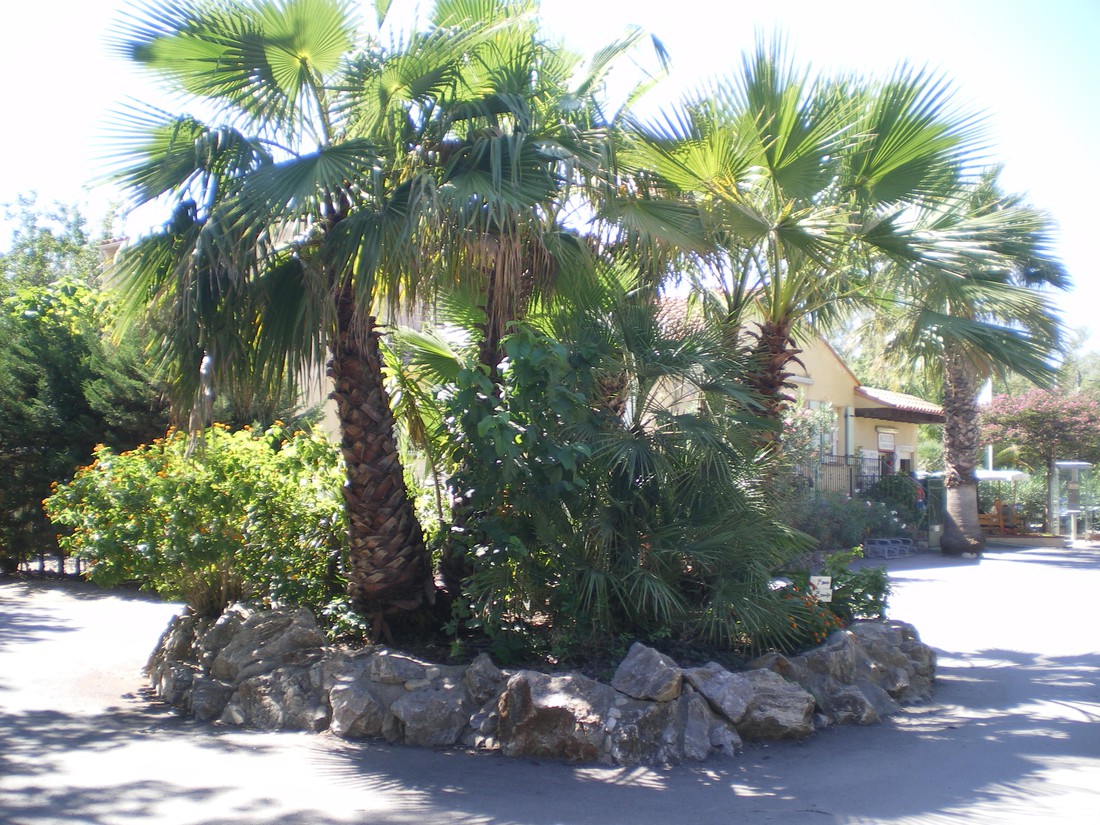 Camping Paris-roussillon