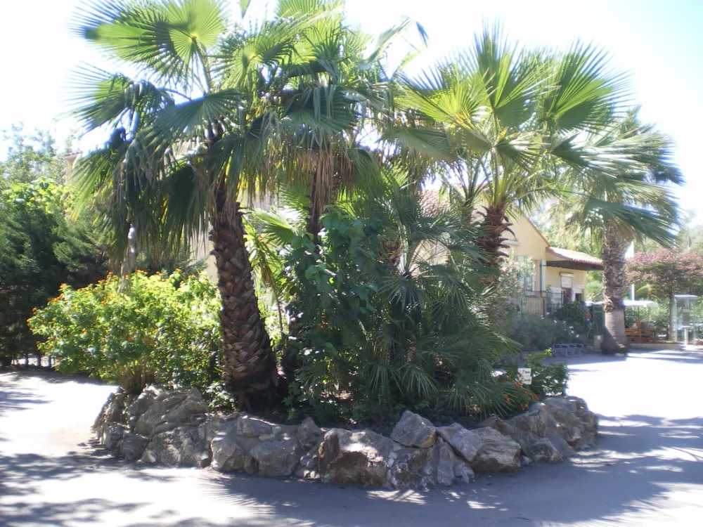 Camping Paris-roussillon  