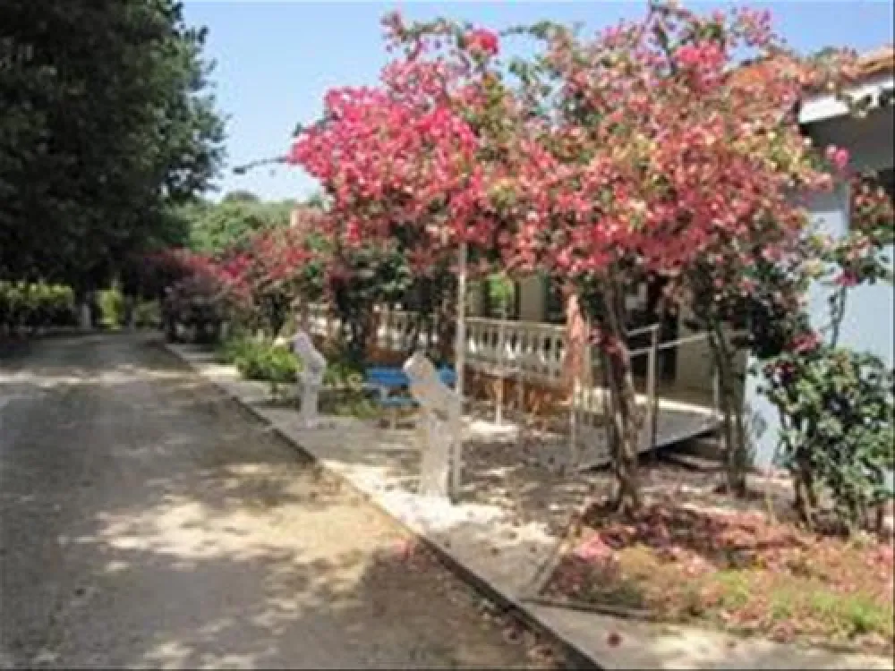 Camping Village Kalamitsi Beach