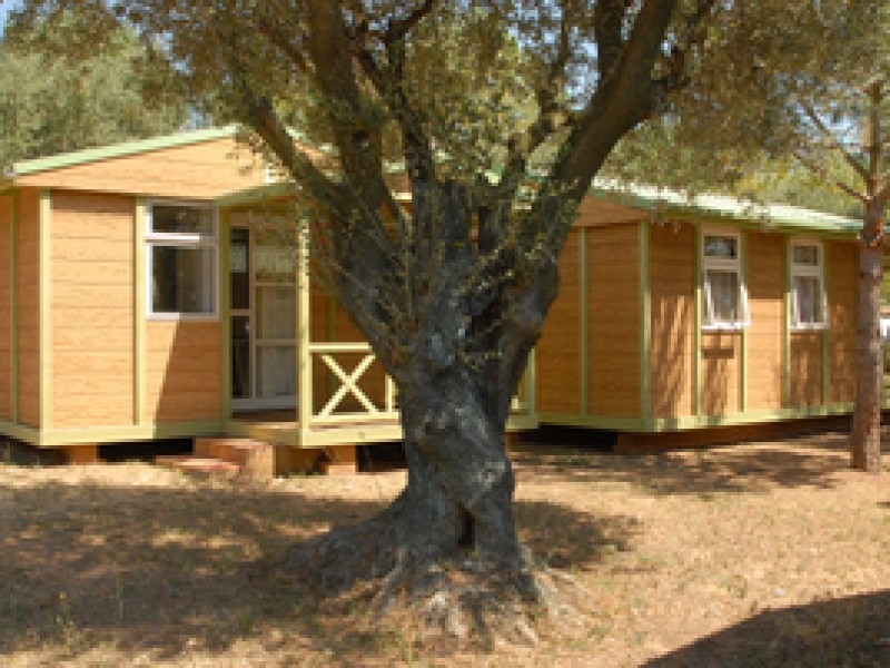 coleman zelt 2 personen Bedrock 2