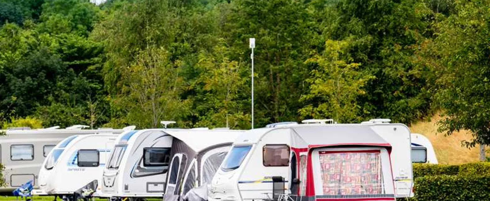 Delamont Country Park Camping and Caravanning Club Site