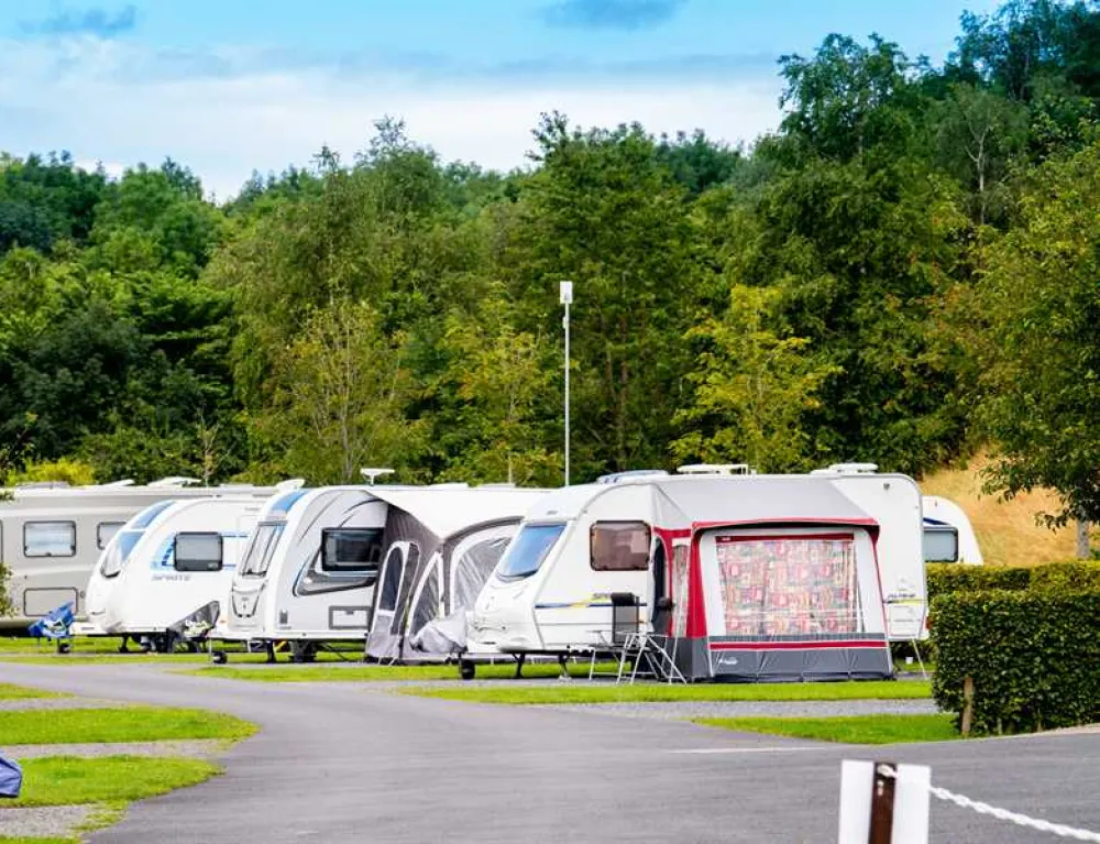 Delamont Country Park Camping and Caravanning Club Site