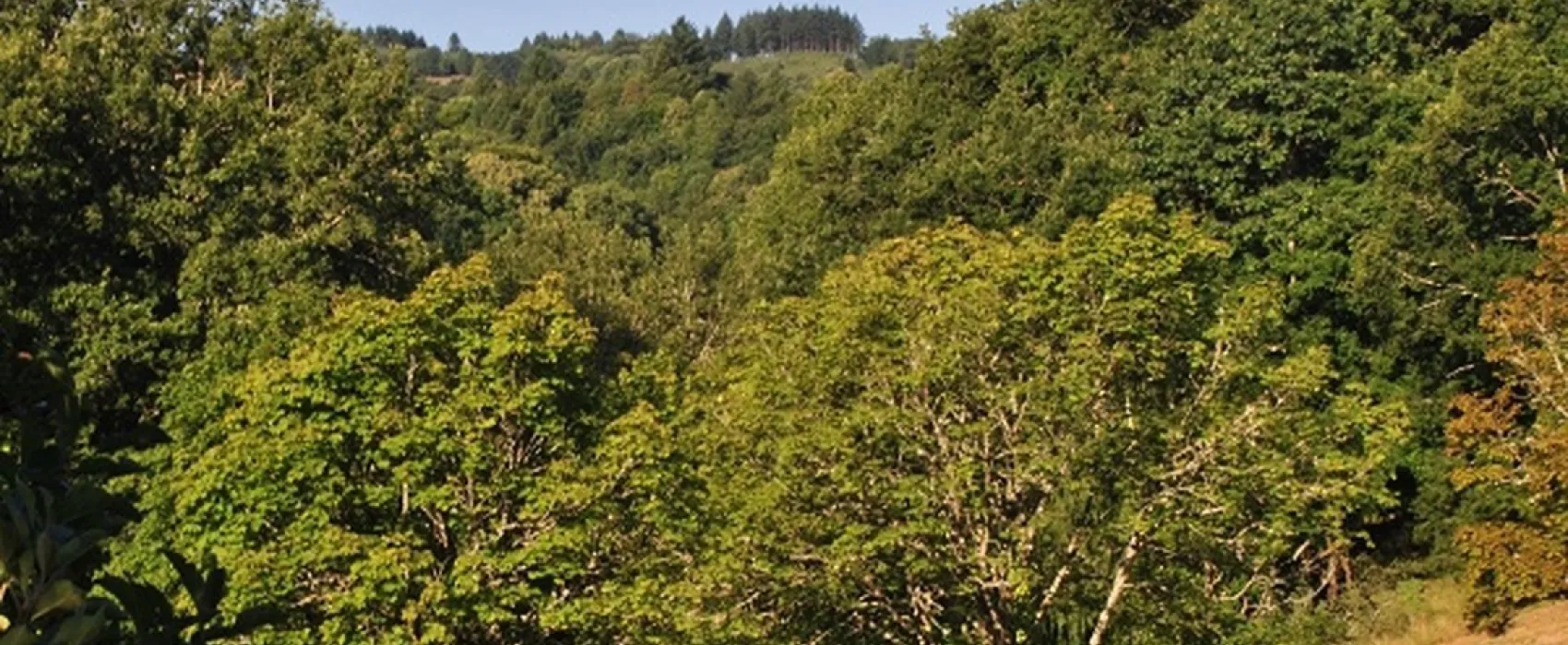 Camping municipal Pont du Dognon  