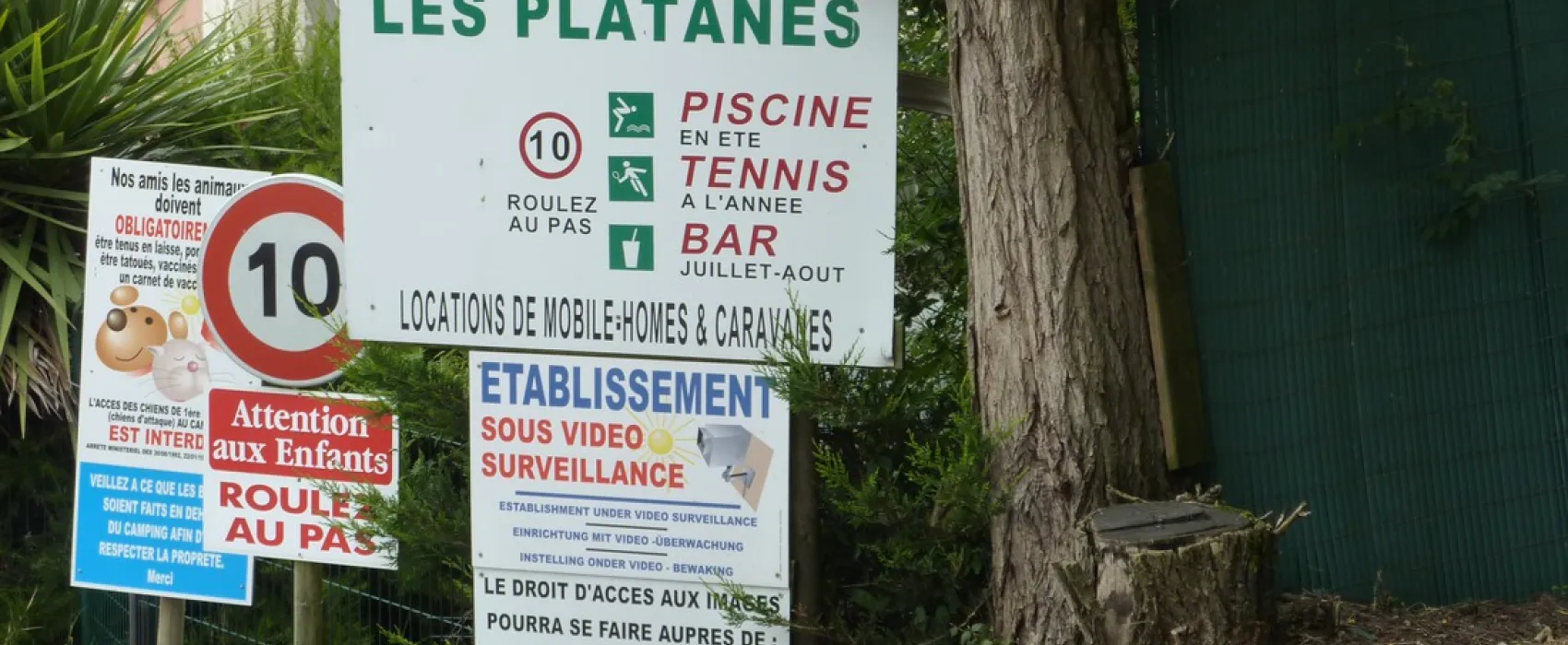Camping les Platanes  