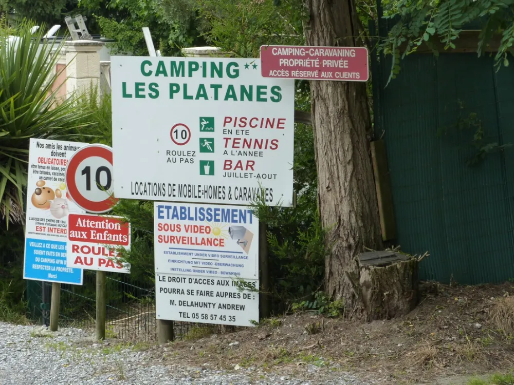 Camping les Platanes  