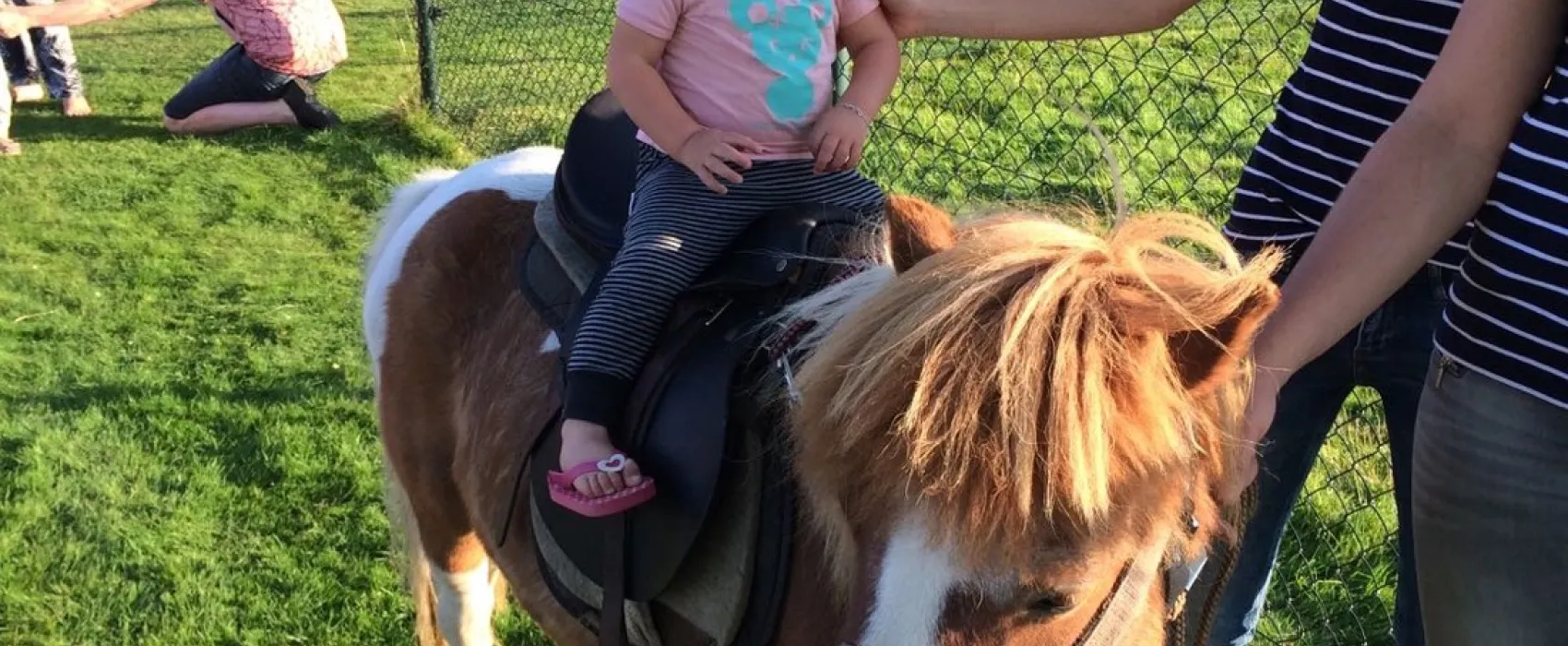 Camping de Weeltenkamp