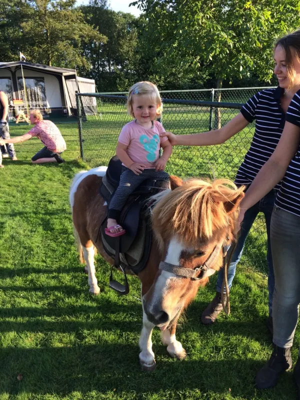 Camping de Weeltenkamp