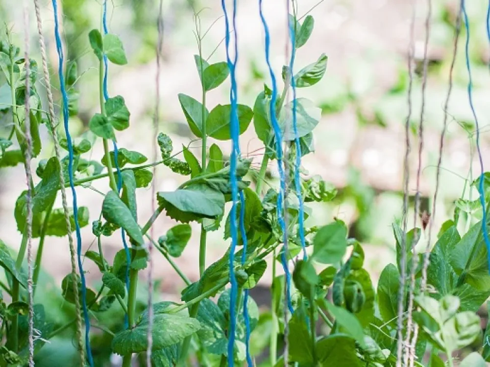 Watersportcamping Heeg