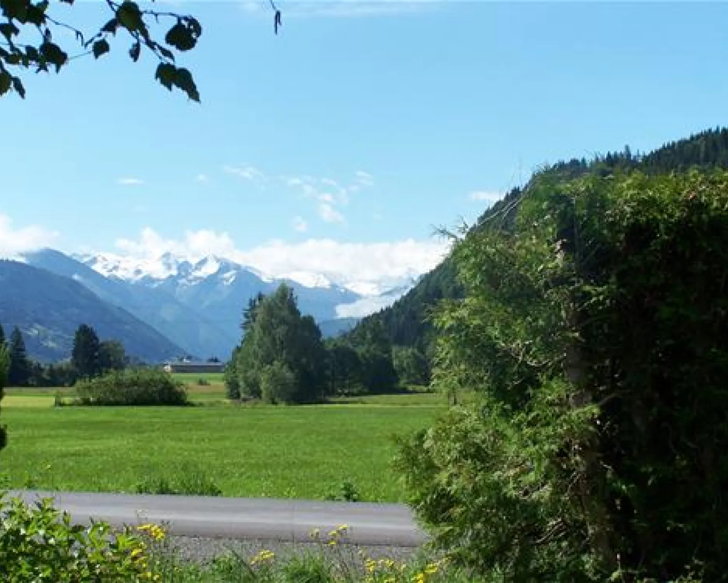 Camping Neunbrunnen am Waldsee in Austria - Spottocamp - Spottocamp