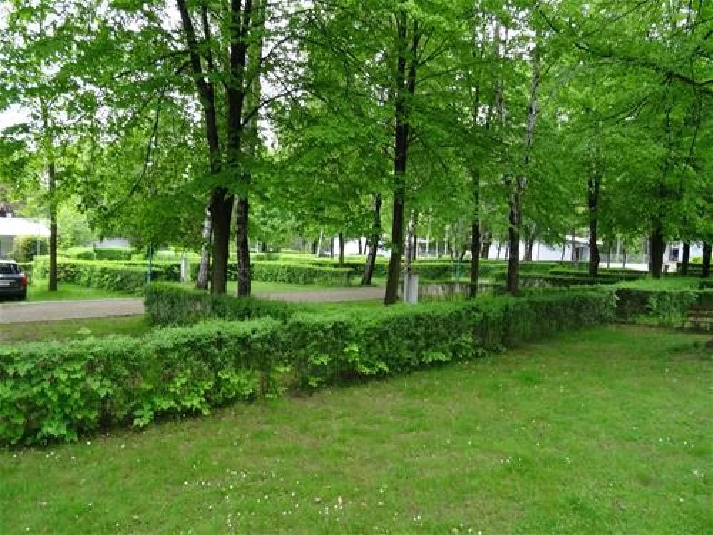 Camping Camping nr 215