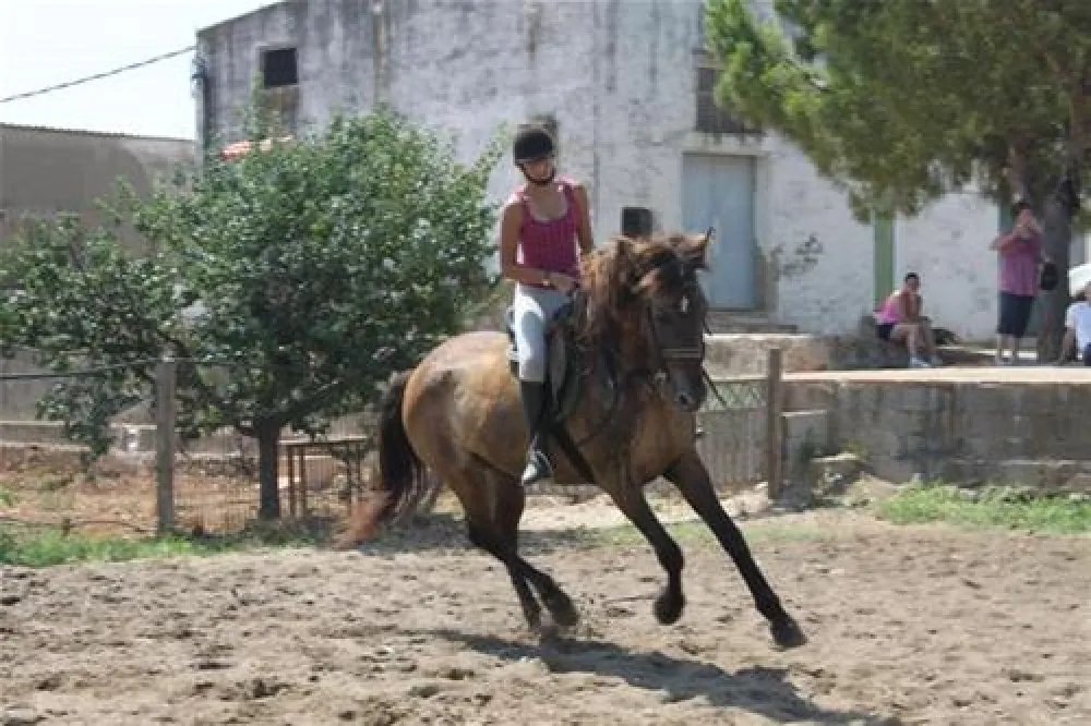 Camping Playa Tropicana