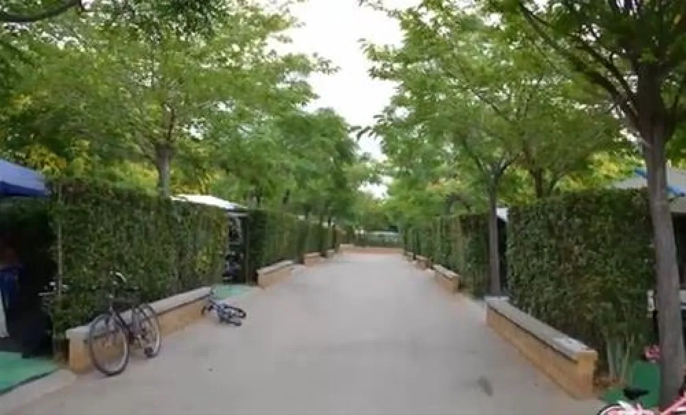 Camping Sirena Dorada