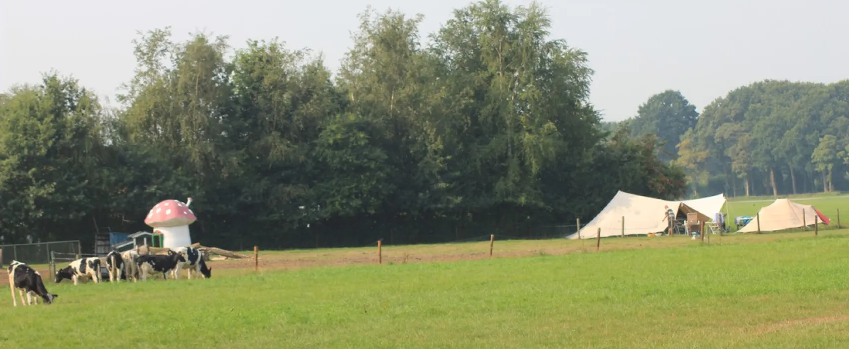 Camping ´t Loozerveld