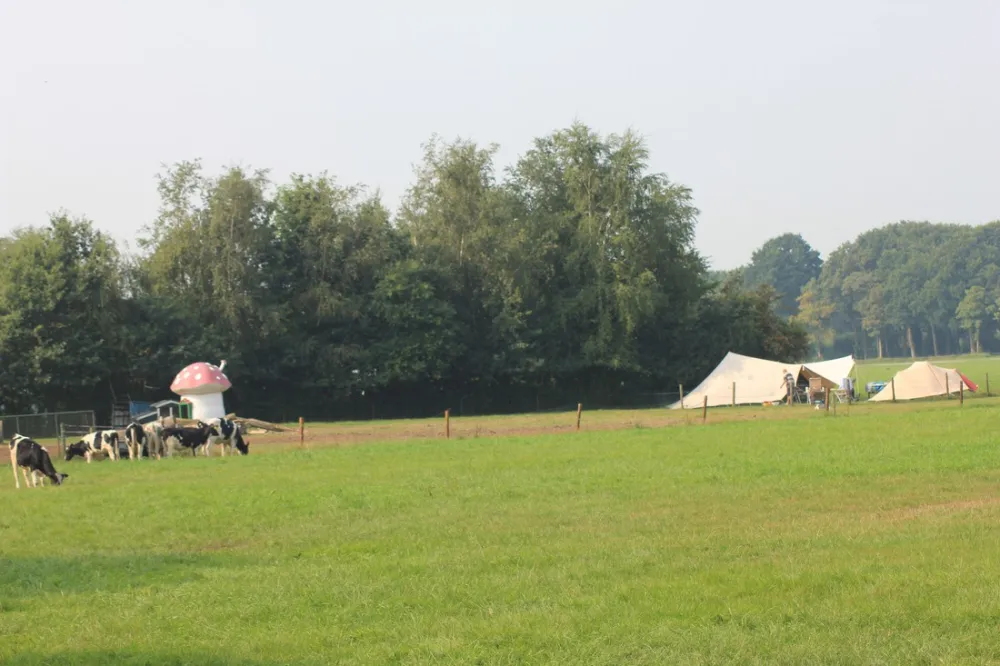 Camping ´t Loozerveld