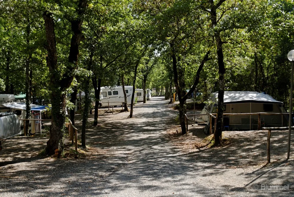 Campeggio La Montagnola