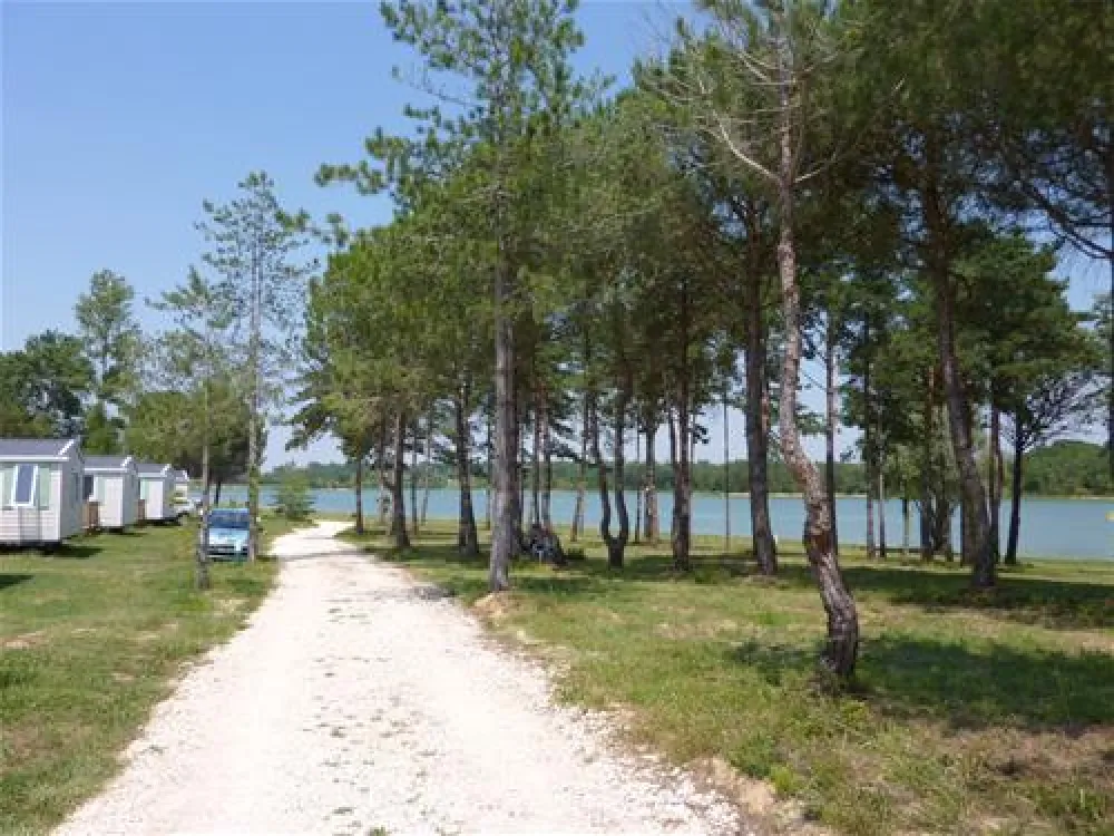 Flower camping lac de Thoux St. Cricq  